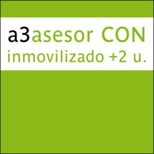 a3asesor CON inmovilizado añadir +2 u.